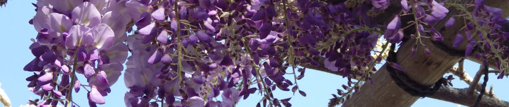 Mediterrane sfeer creëren