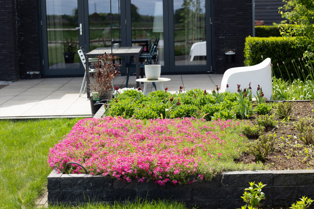 Tuinontwerp Beplantingsplan